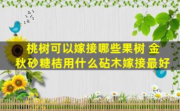 桃树可以嫁接哪些果树 金秋砂糖桔用什么砧木嫁接最好